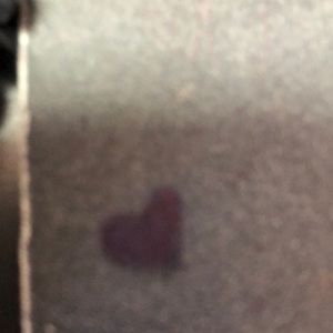 Meet your Posher, Nathan